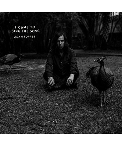 Adam Torres I Came to Sing the Song Vinyl Record $4.45 Vinyl