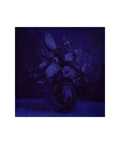 Deaf Wish Lithium Zion Vinyl Record $9.40 Vinyl